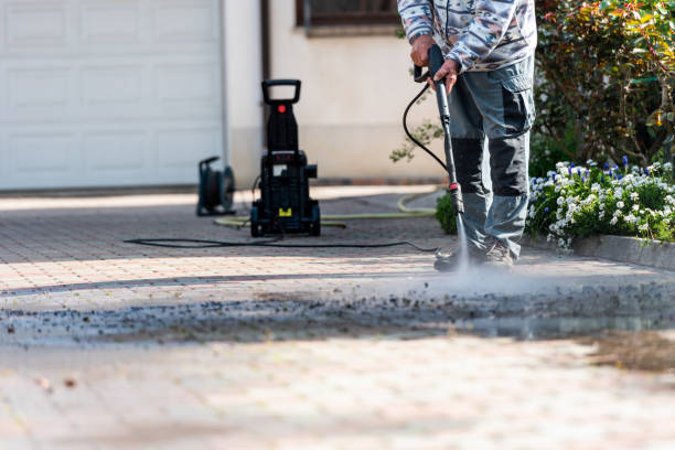 Best Power Washing Near Me  in River Grove, IL